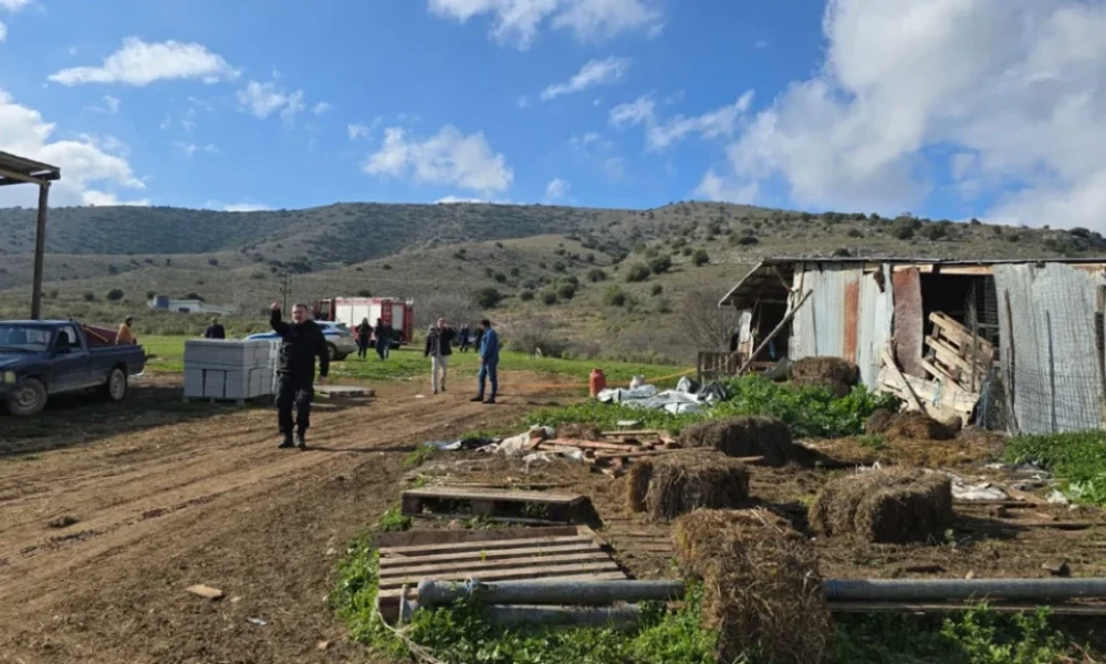 «Τα σκυλιά γάβγιζαν αλλά δεν δώσαμε σημασία» - Όσα αναφέρει ο κτηνοτρόφος που ειδοποίησε τις Αρχές για τη σορό στον Τύρναβο (βίντεο)